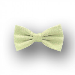 bow tie mint green silk - straight shape